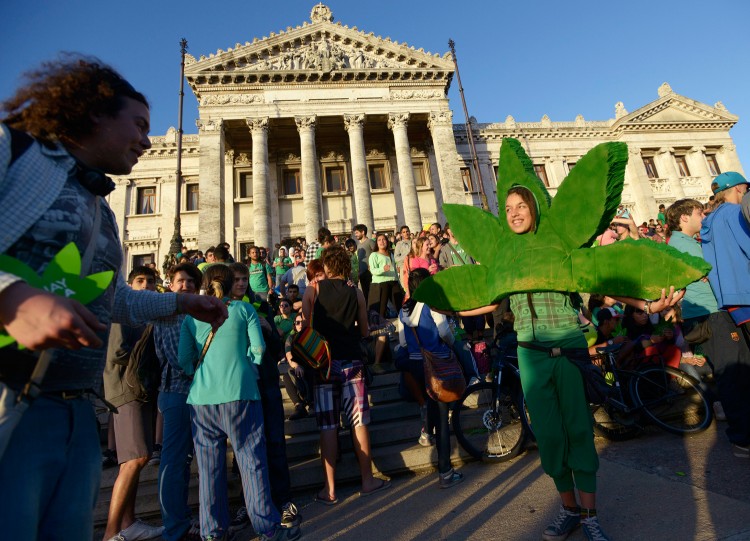 Apoiadores da lei da Maconha, em Montevidéu, Uruguai (Foto Reuters)